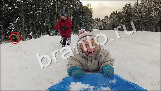 ответы Где же кот? в одноклассниках Уровень 7346