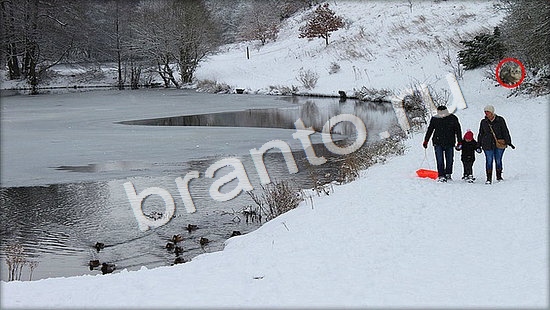 игра в одноклассниках Где же кот ответы Уровень 7350