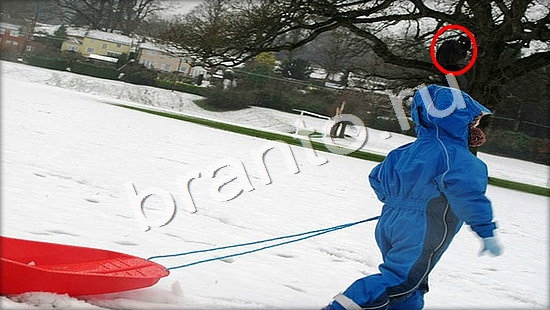 Где же кот ответы на новые задания Уровень 7353