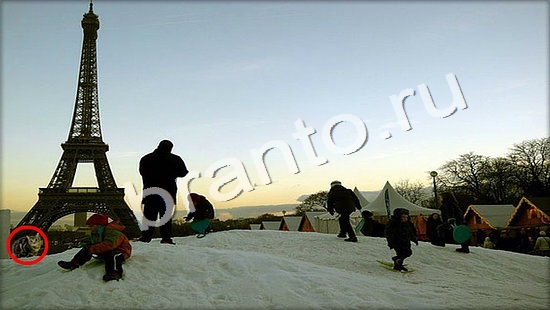 ответы на игру Где же кот Уровень 7354