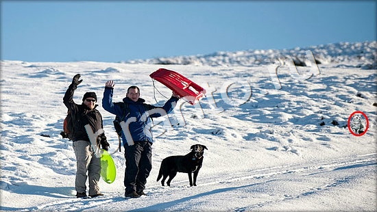 ответы на игру Где же кот Уровень 7356