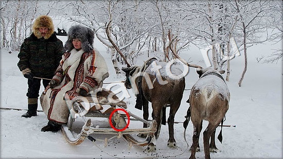 помощь на игру Где же кот Уровень 7358