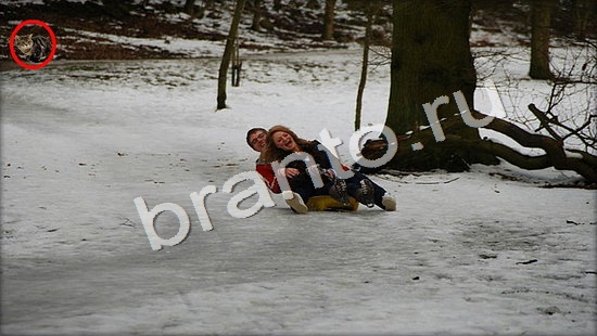 Где же кот игра ответы Уровень 7360