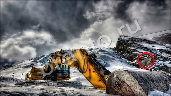 ответы к игре Где же кот Уровень 7405