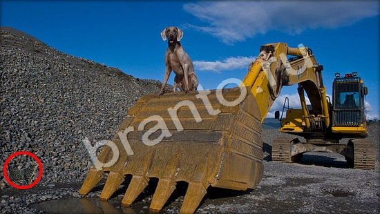 Где же кот игра ответы в одноклассниках Уровень 7407