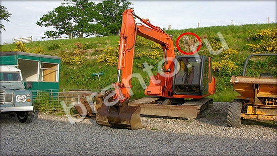 Игра Где же кот прохождение Уровень 7420