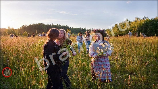 Где же кот помощь в картинках Уровень 7431