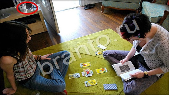 ответы в картинках на игру Где же кот Уровень 7437