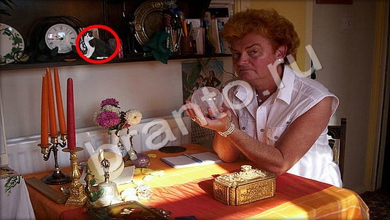 Где же кот ответы в одноклассниках Уровень 7439