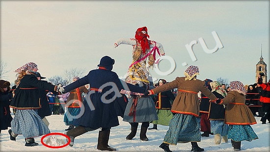 ответы к игре Где же кот Уровень 7445