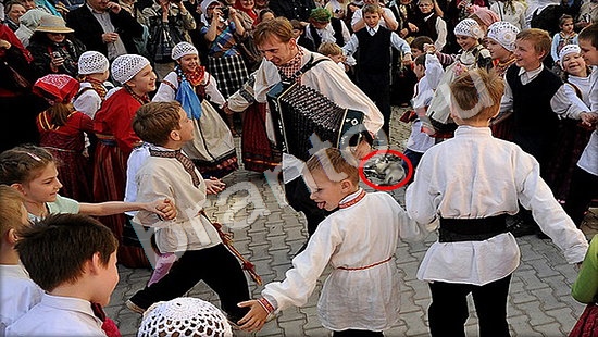 ответы на игру в одноклассниках Где же кот Уровень 7446