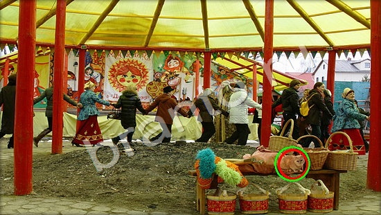 Где же кот? помощь Уровень 7450