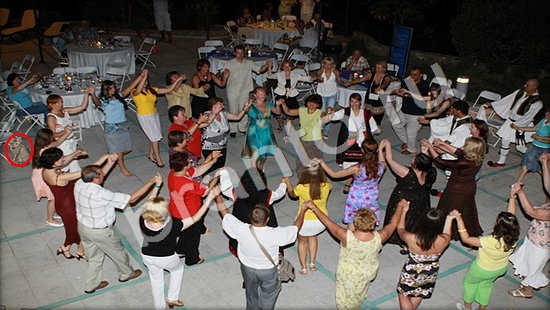 Где же кот игра подсказки Уровень 7454