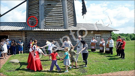 Где же кот игра помощь Уровень 7455