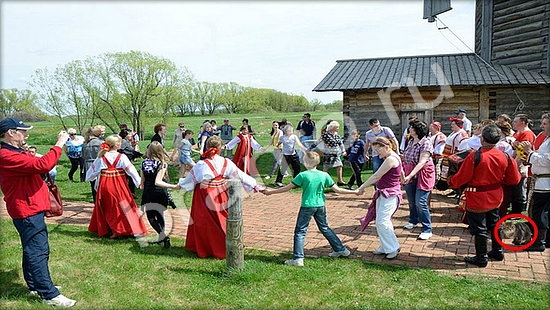 Где же кот ответы в картинках Уровень 7456