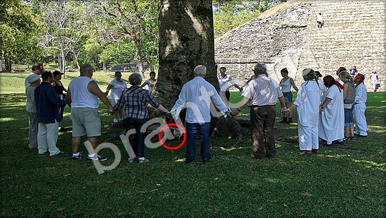 игра Где же кот помощь Уровень 7459