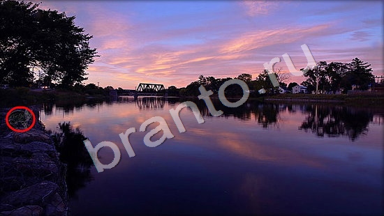 Где же кот прохождение игры Уровень 7462