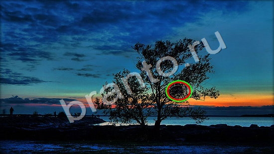 відповіді на игру Где же кот в одноклассниках Уровень 7463