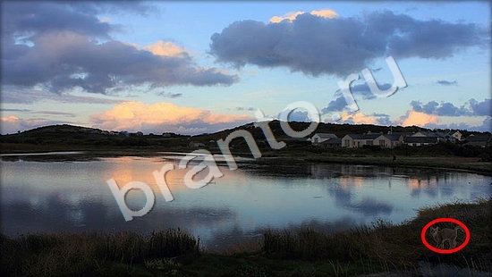 ответы для игры Где же кот Уровень 7467