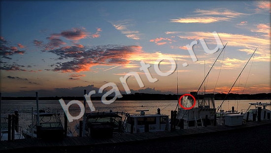 игра в одноклассниках Где же кот ответы Уровень 7470