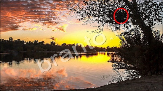 ответы в картинках на игру Где же кот Уровень 7477