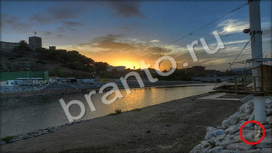 Где же кот игра ответы Уровень 7480