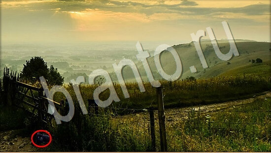 ответы к игре Где же кот Уровень 7485