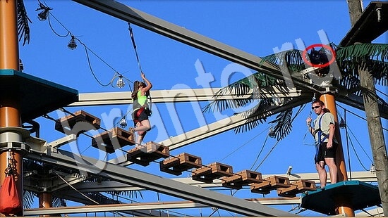 Прохождение игры Где же кот Уровень 7504