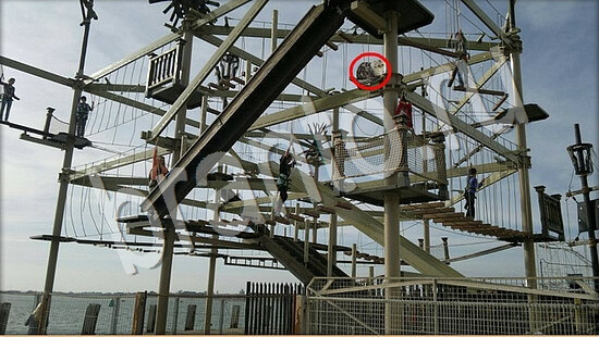 ответы Где же кот? в одноклассниках Уровень 7506