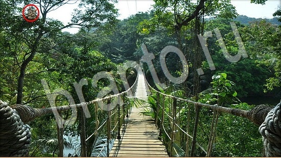 решения для игры Где же кот Уровень 7508