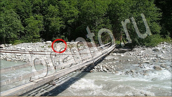 игра в одноклассниках Где же кот ответы Уровень 7510