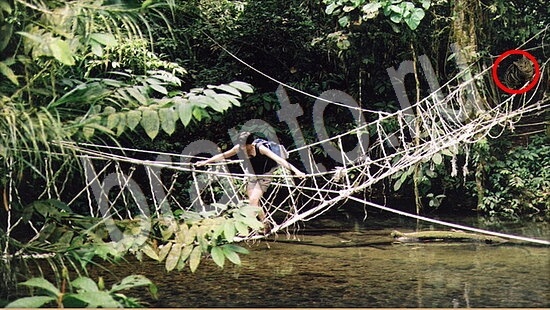 Где же кот ответы на новые задания Уровень 7513