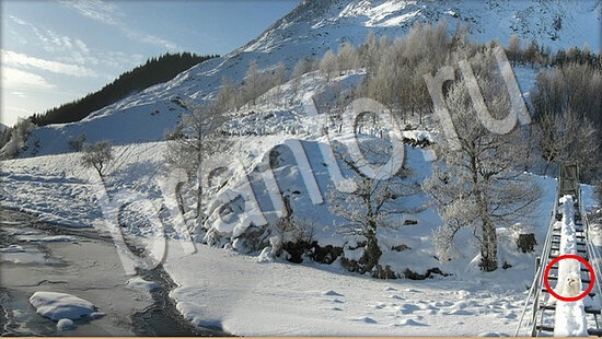 ответы на игру Где же кот Уровень 7516