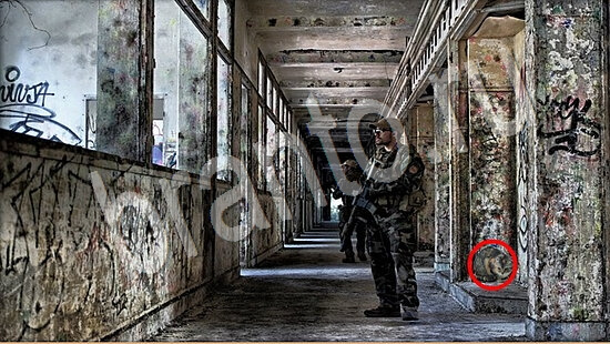 Где же кот? помощь Уровень 7530