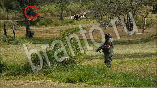 решебник на игру Где же кот Уровень 7531