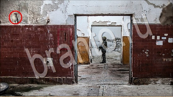 Где же кот? решения Уровень 7532