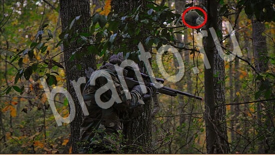 Где же кот игра подсказки Уровень 7534