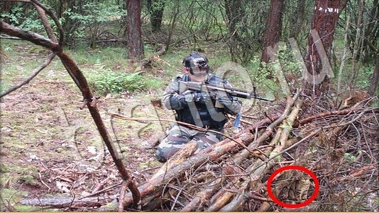 Где же кот игра помощь Уровень 7535