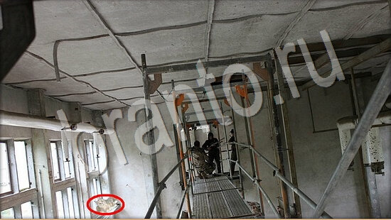 Где же кот ответы в картинках Уровень 7536