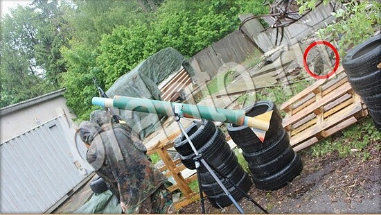 Игра Где же кот подсказки Уровень 7538