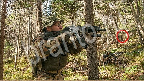 Игра Где же кот прохождение Уровень 7540