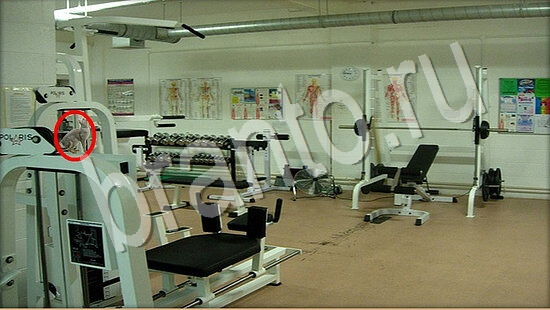 прохождение на игру Где же кот Уровень 7541