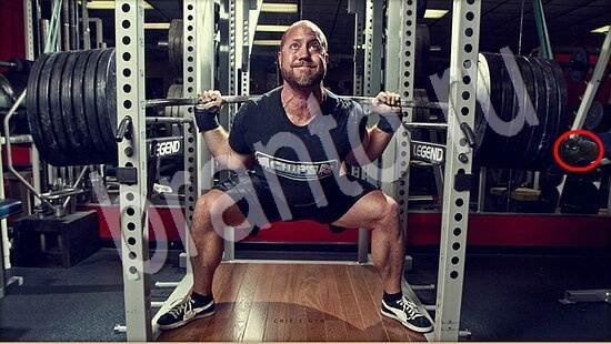 Прохождение игры Где же кот Уровень 7544