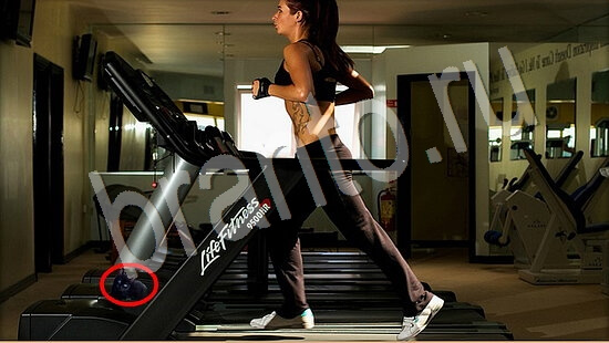 ответы Где же кот? в одноклассниках Уровень 7546