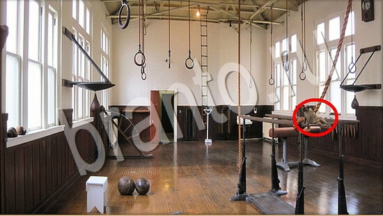 ответы для игры Где же кот Уровень 7547