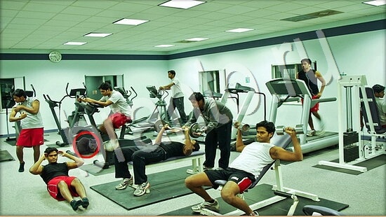 решения для игры Где же кот Уровень 7548