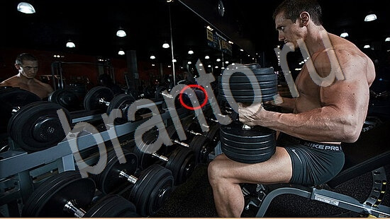 Где же кот игра ответы Уровень 7549