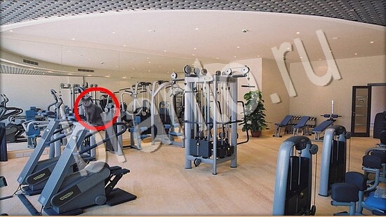 Где же кот помощь в картинках Уровень 7551