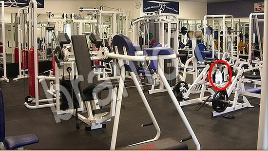 ответы на игру Где же кот в скриншотах Уровень 7552