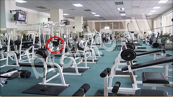 решения на игру Где же кот Уровень 7555